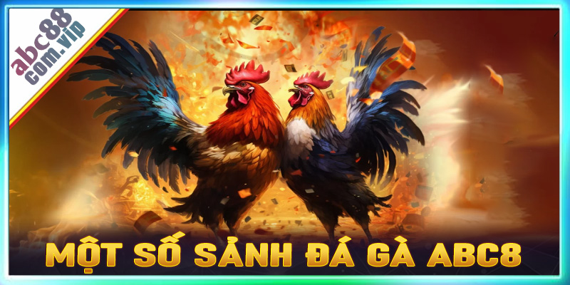 Top các sảnh cược đá gà abc8 được nhiều người chọn lựa nhất hiện nay
