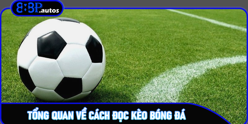 Tổng quan về cách đọc kèo bóng đá trên 888P