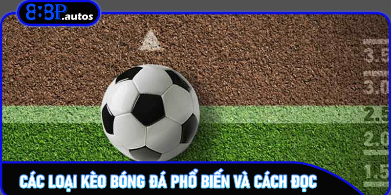Các loại kèo bóng đá phổ biến và cách đọc