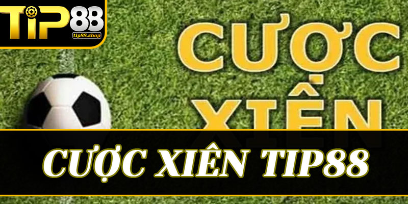 Các sai lầm "chí mạng" khiến vé Cược xiên của bạn dễ dàng bốc cháy