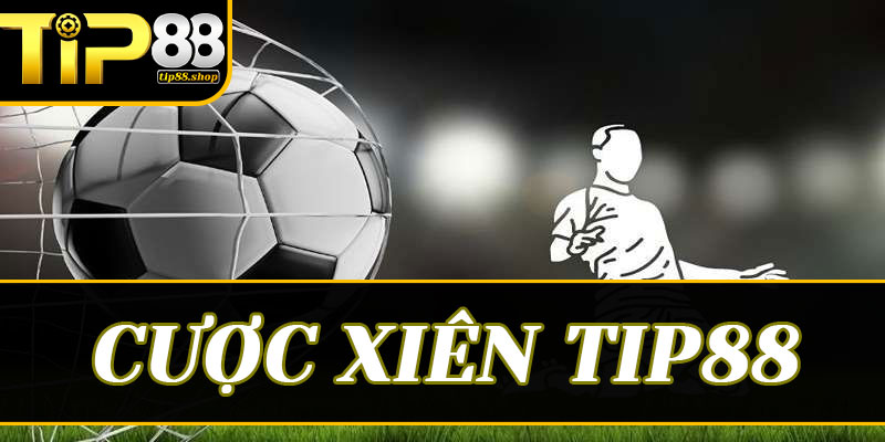 Nghệ thuật săn Cược xiên Tip88: Đọc vị nhà cái và bắt trọn nhịp đấu